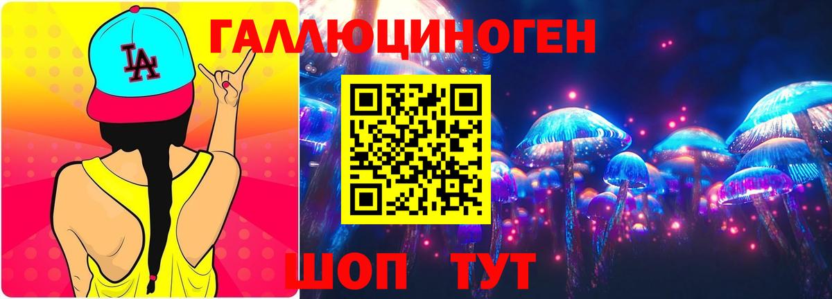 Галлюциногенные грибы Psilocybine cubensis Норильск