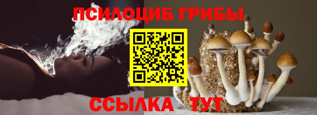 Галлюциногенные грибы Magic Shrooms  Вход с VPN  Норильск  Псилоцибиновые грибы MAGIC MUSHROOMS 